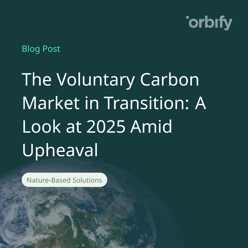 The Voluntary Carbon Market in Transition: A Look at 2025 Amid Upheaval