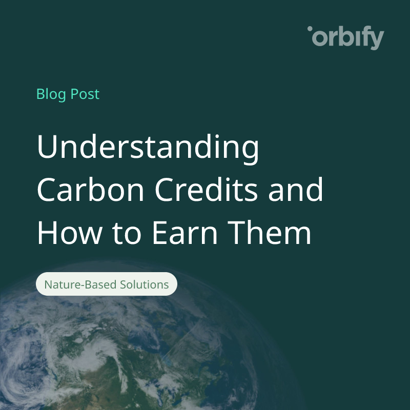 Understanding Carbon Credits and How to Earn Them