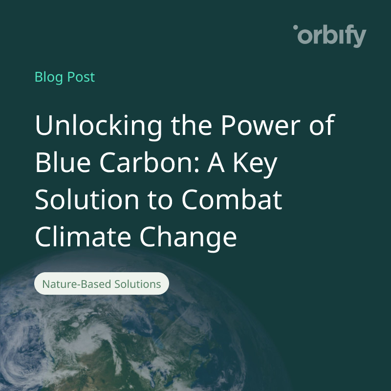 Unlocking the Power of Blue Carbon: A Key Solution to Combat Climate Change