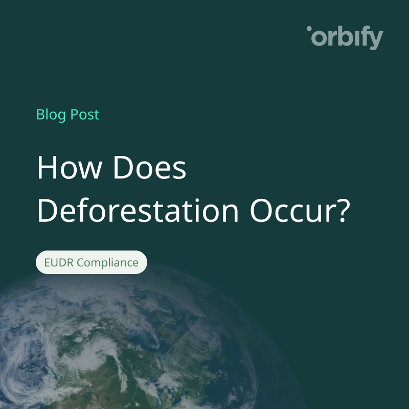 How Does Deforestation Occur?